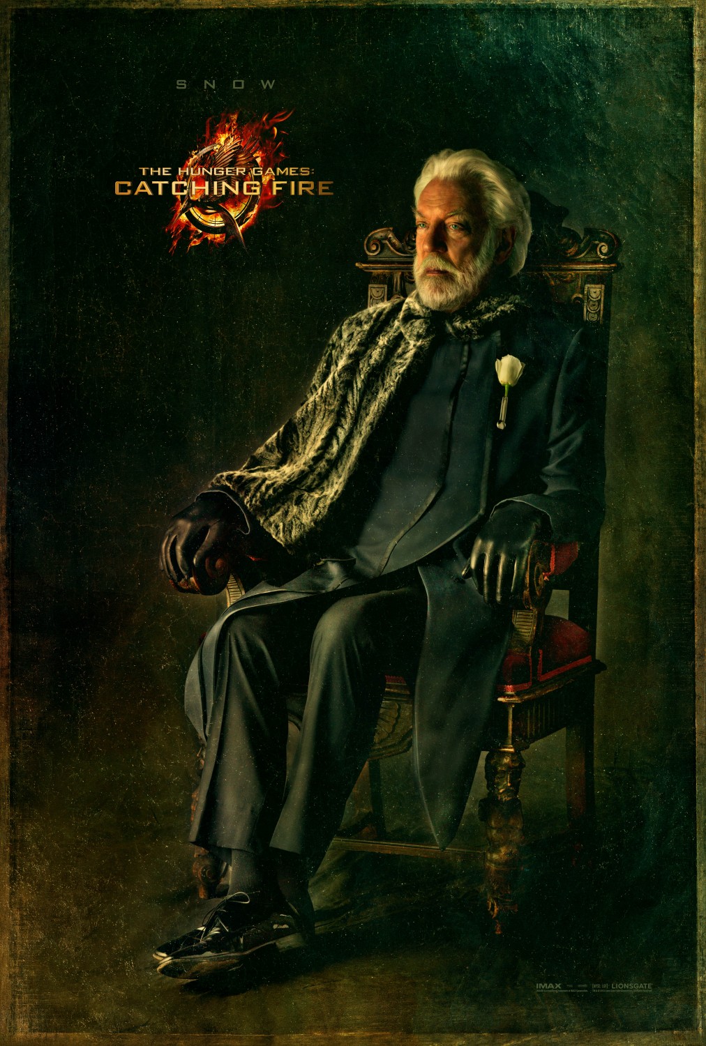 Extra Large Movie Poster Image for The Hunger Games: Catching Fire (#14 of 33)