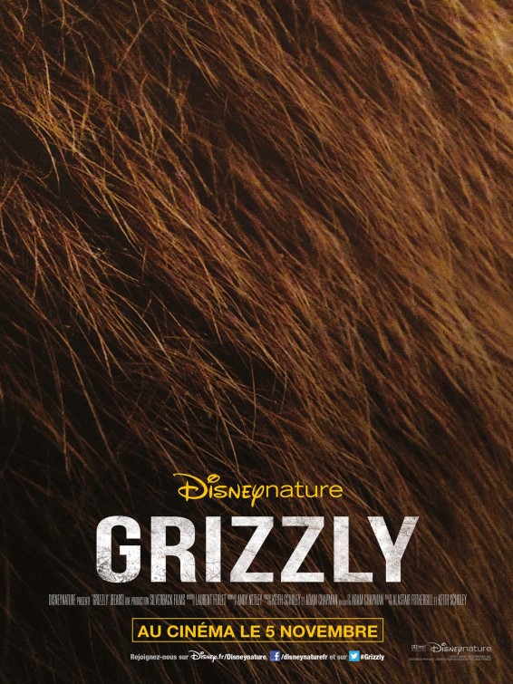 Bears Movie Poster