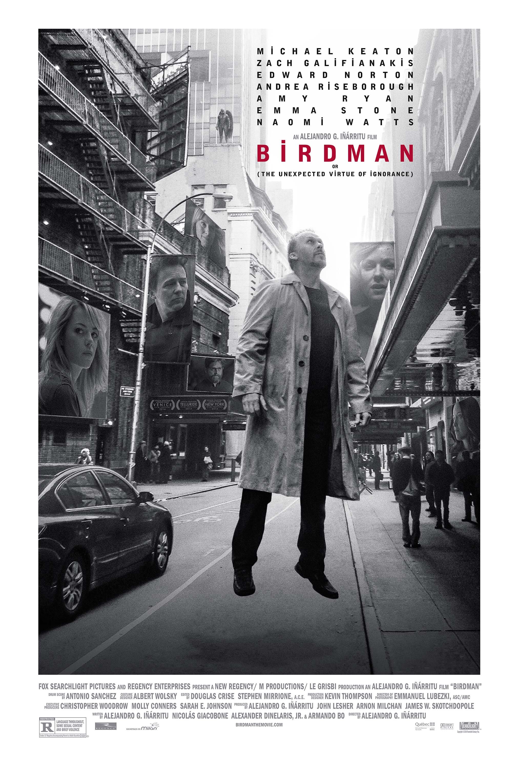 Mega Sized Movie Poster Image for Birdman (#16 of 26)