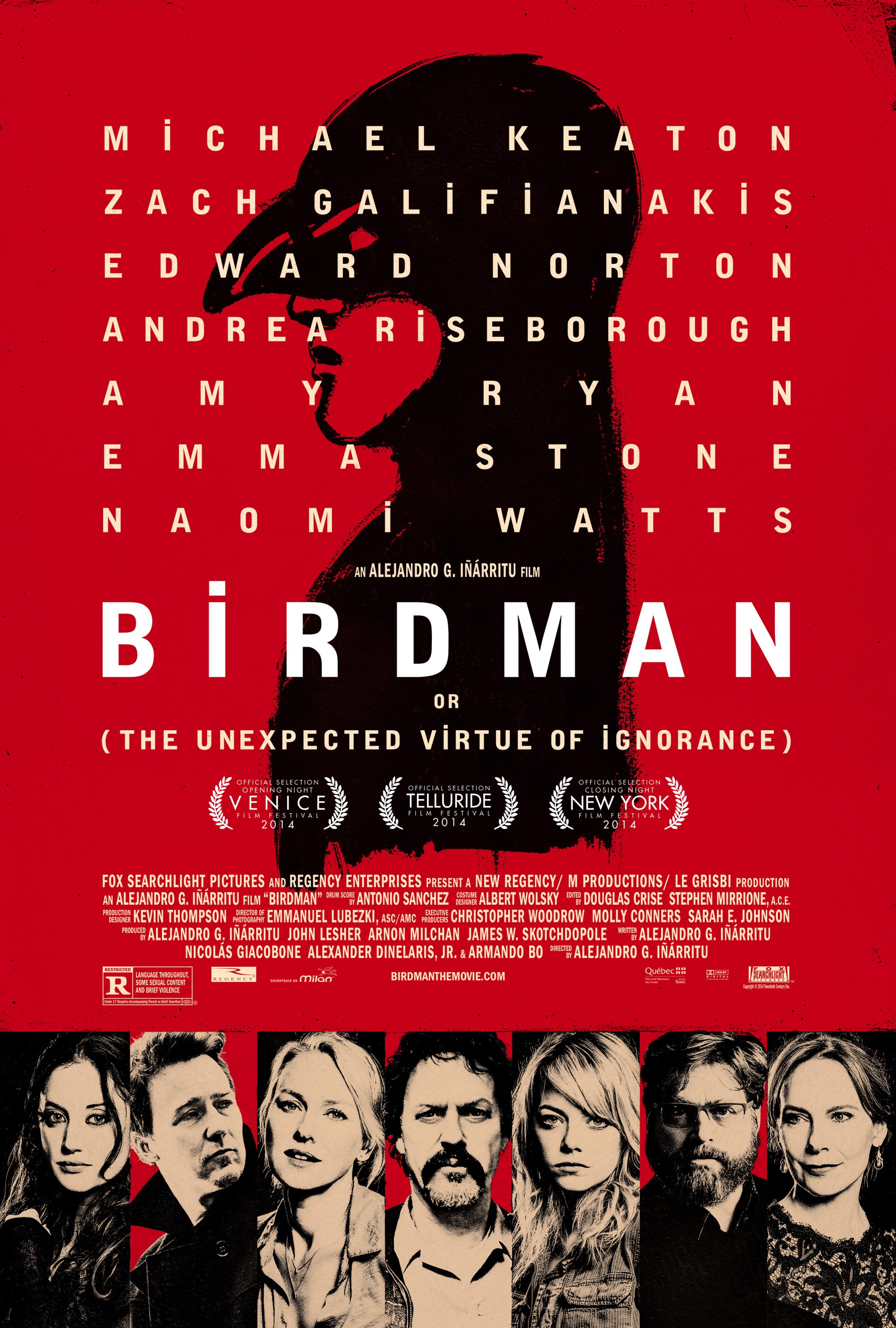 Mega Sized Movie Poster Image for Birdman (#3 of 26)