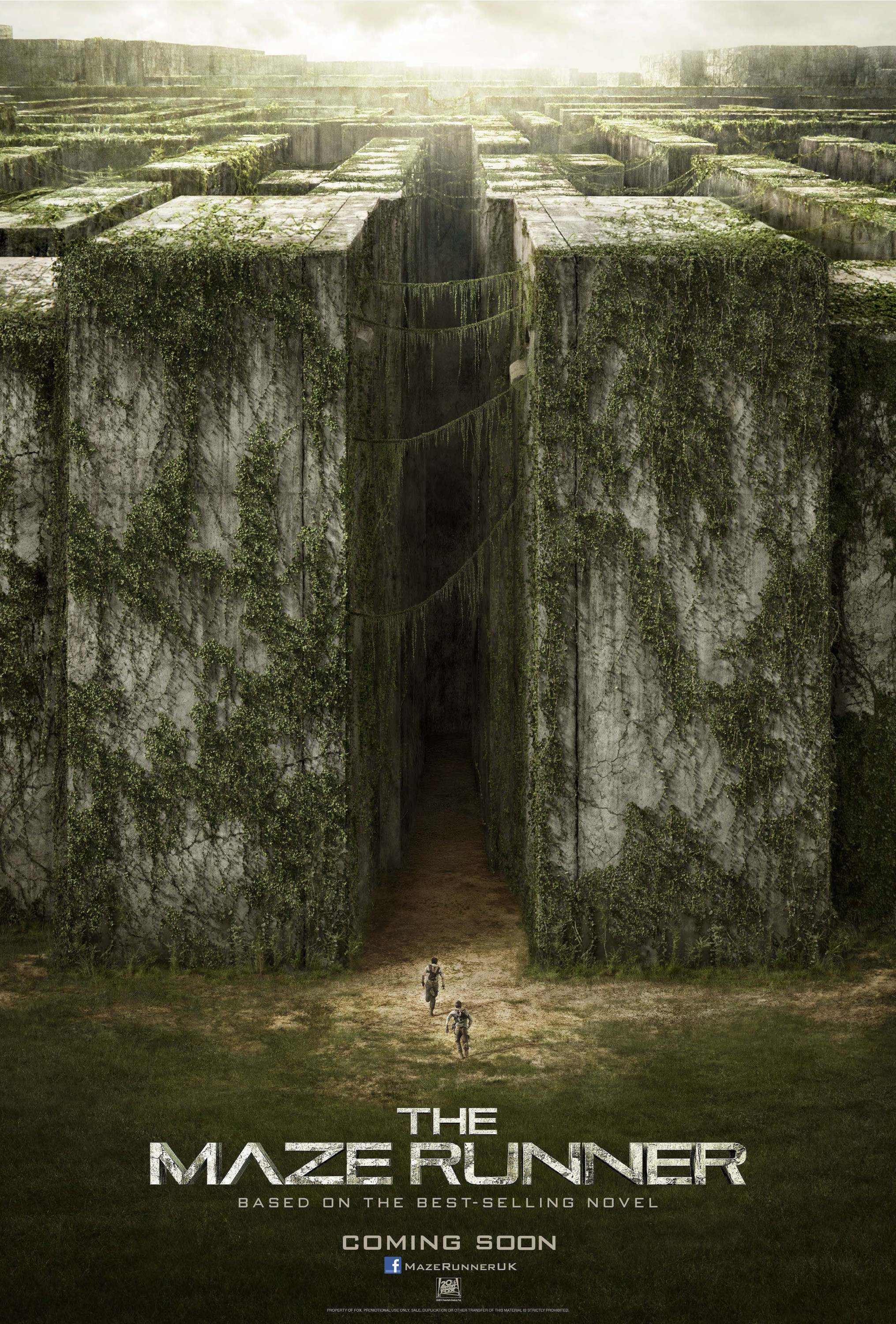 Mega Sized Movie Poster Image for The Maze Runner (#1 of 24)