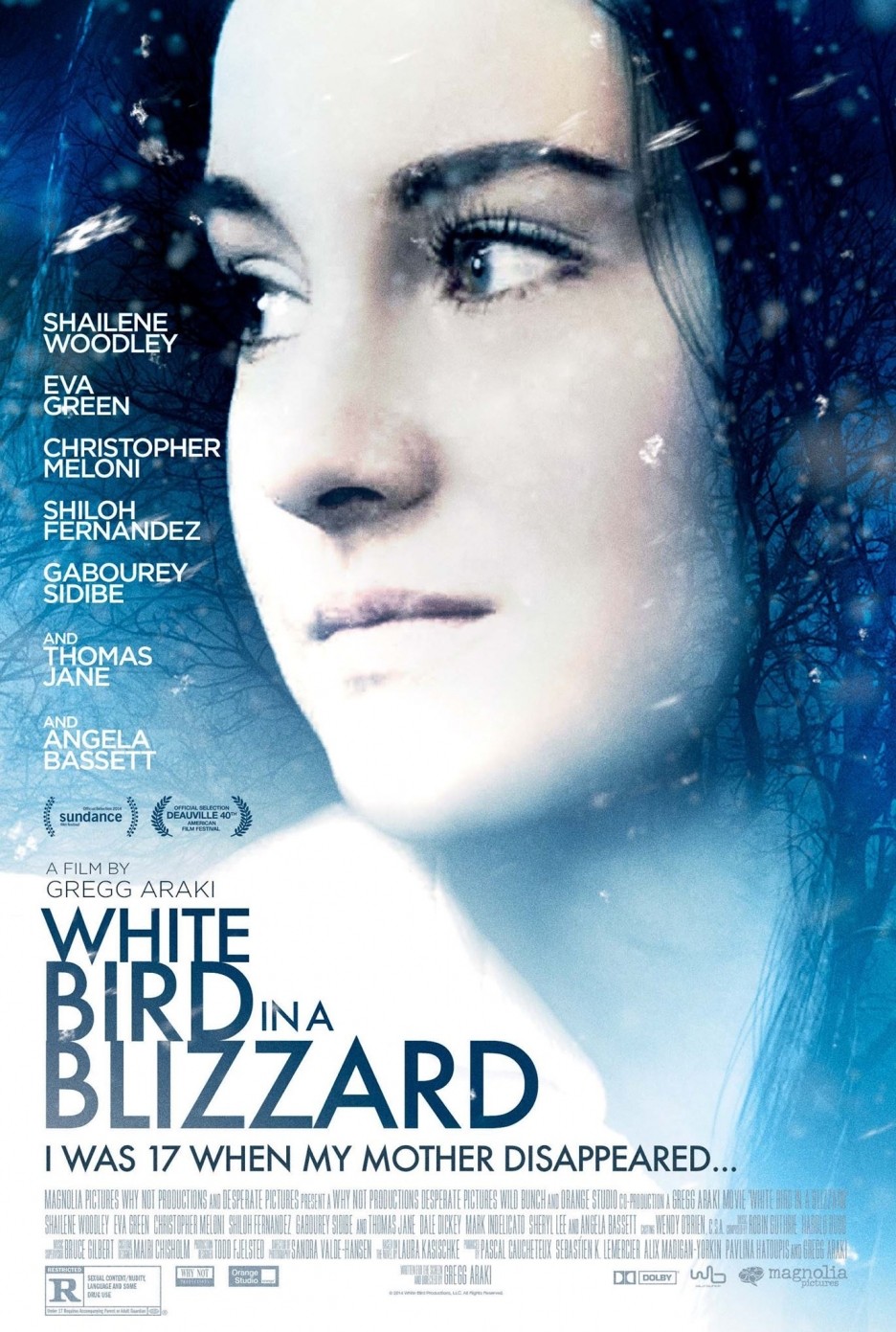 Extra Large Movie Poster Image for White Bird in a Blizzard (#1 of 4)