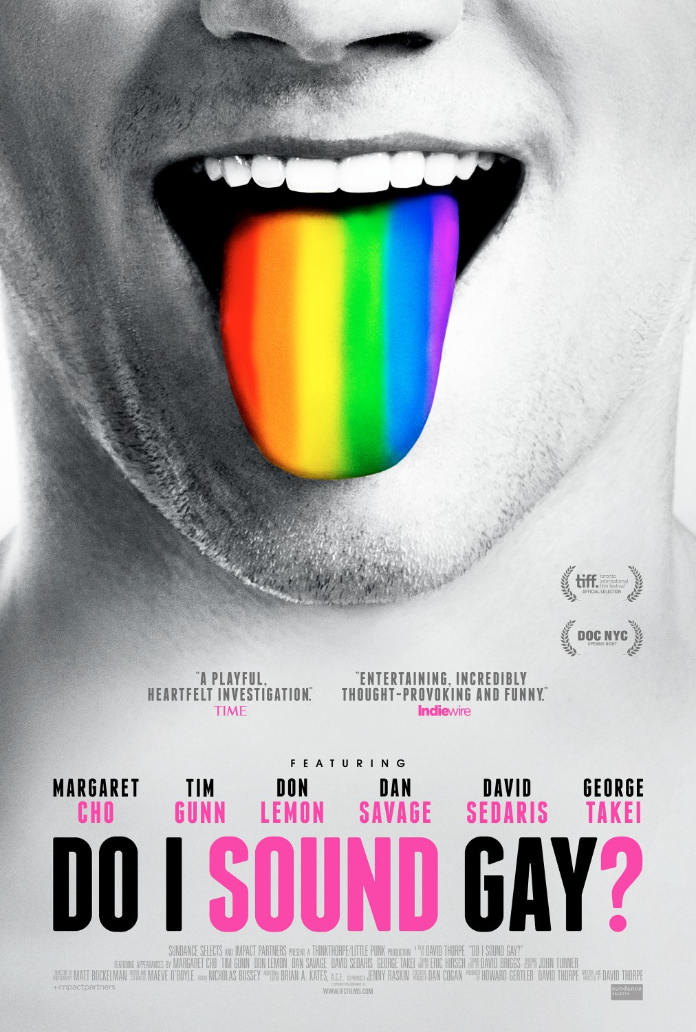 Extra Large Movie Poster Image for Do I Sound Gay? (#1 of 2)