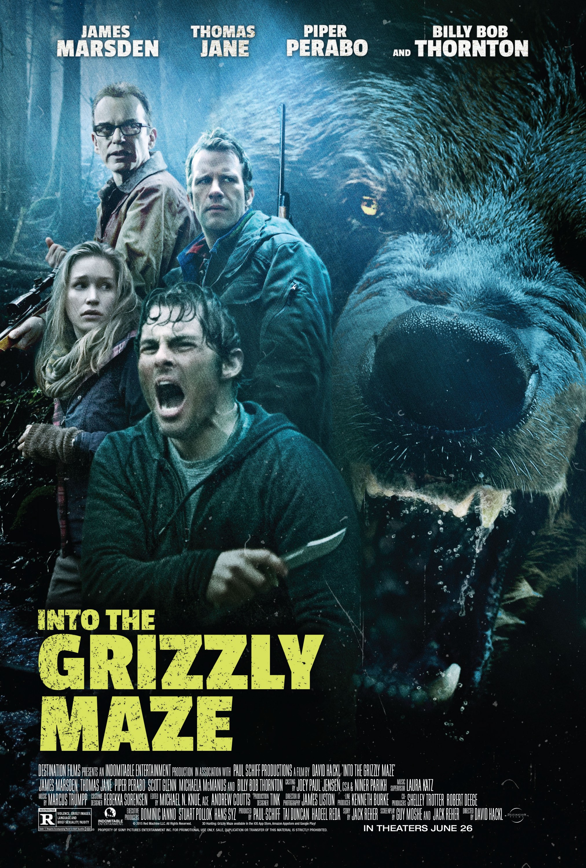 Mega Sized Movie Poster Image for Into the Grizzly Maze 