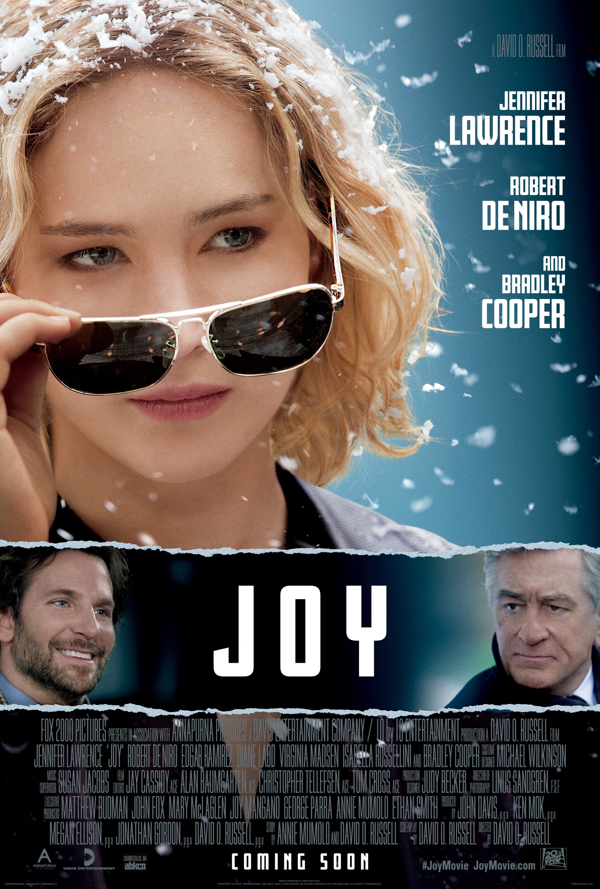 Mega Sized Movie Poster Image for Joy (#3 of 5)