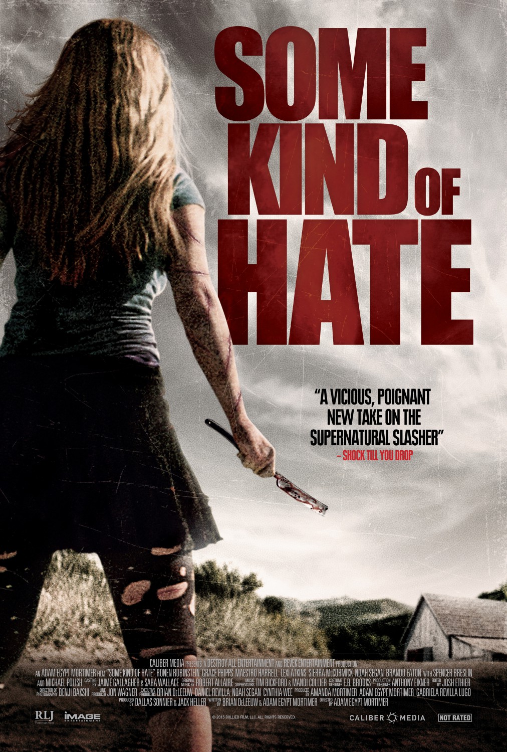 Extra Large Movie Poster Image for Some Kind of Hate (#2 of 2)
