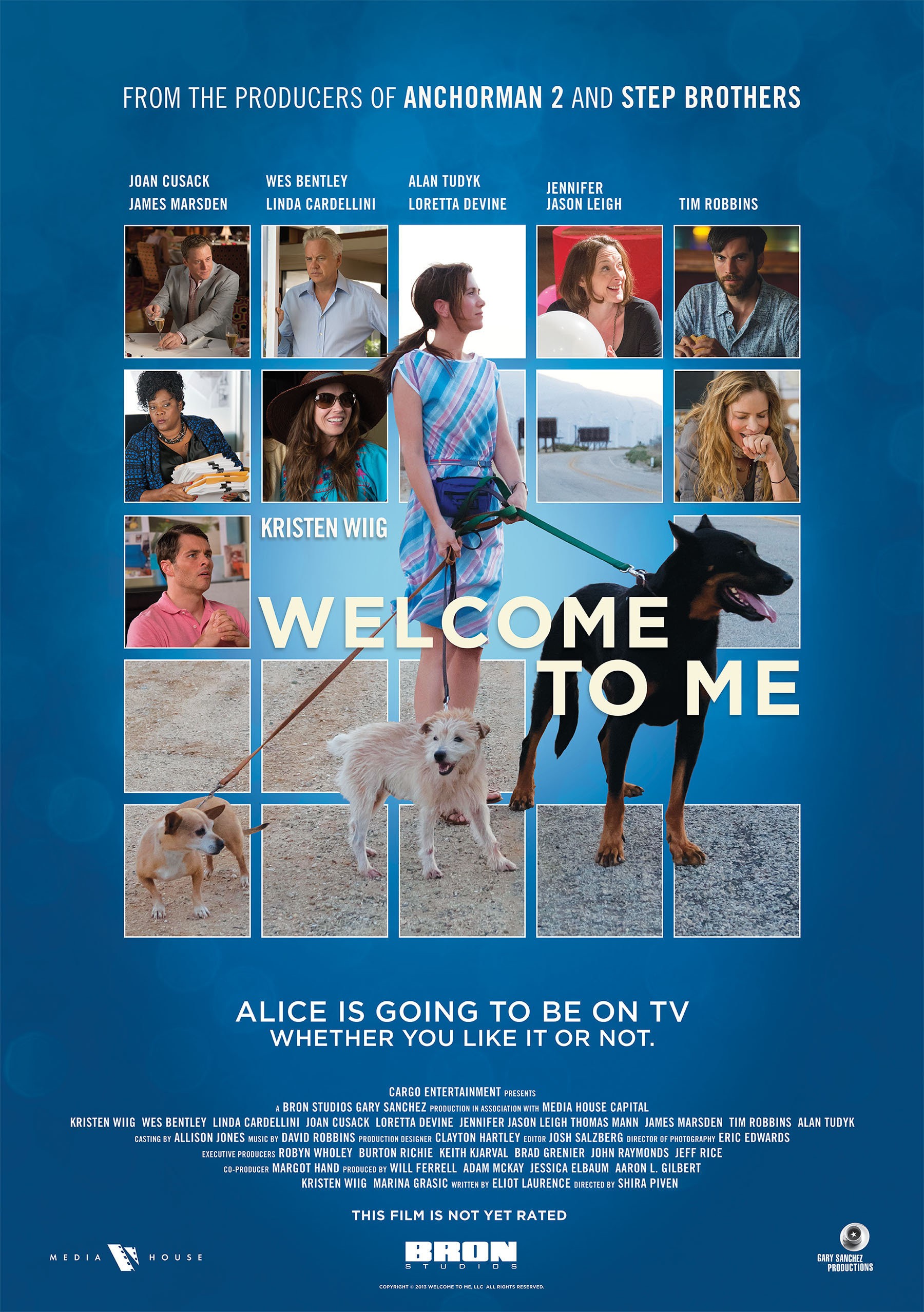 Mega Sized Movie Poster Image for Welcome to Me (#1 of 2)