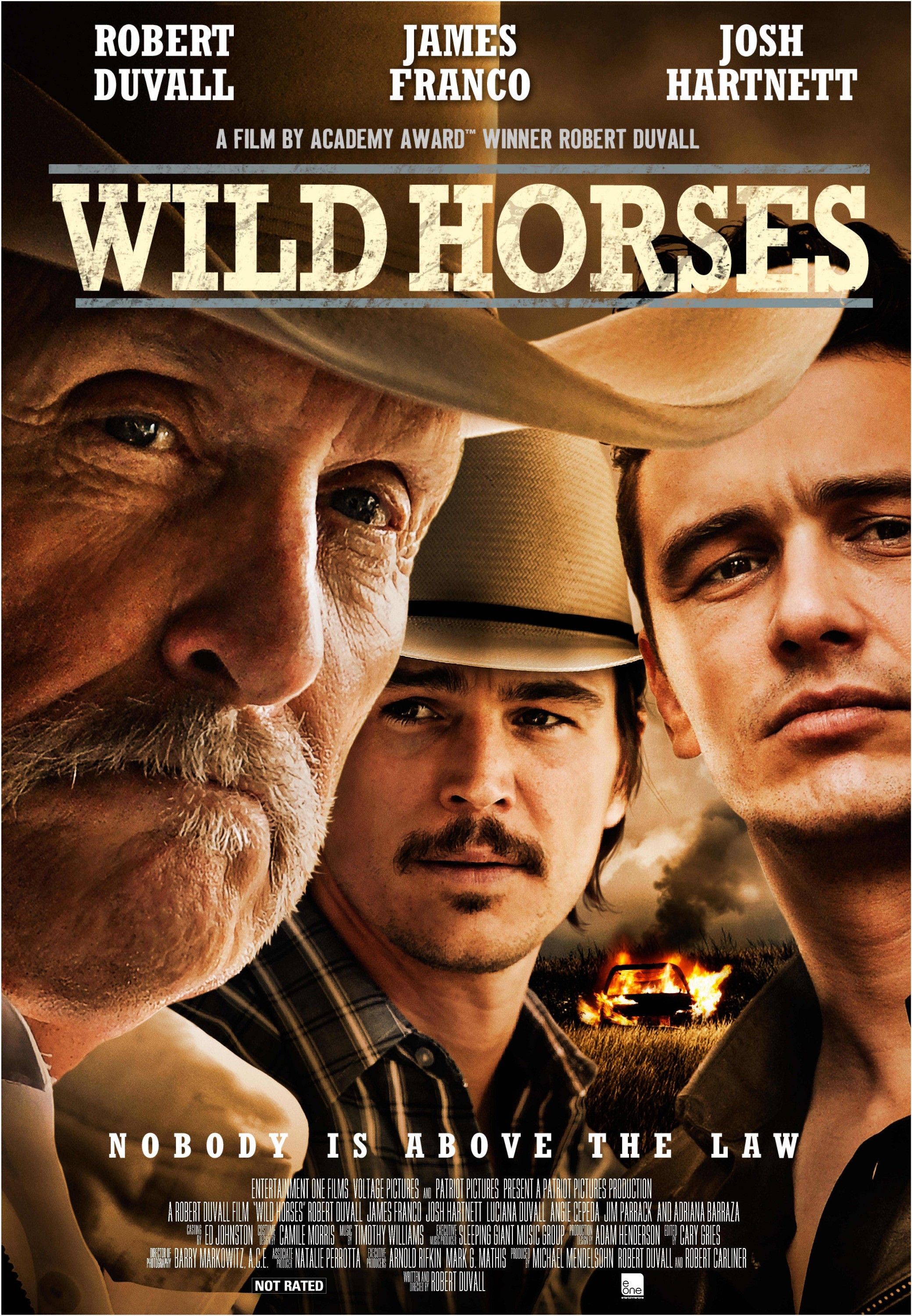 Mega Sized Movie Poster Image for Wild Horses 