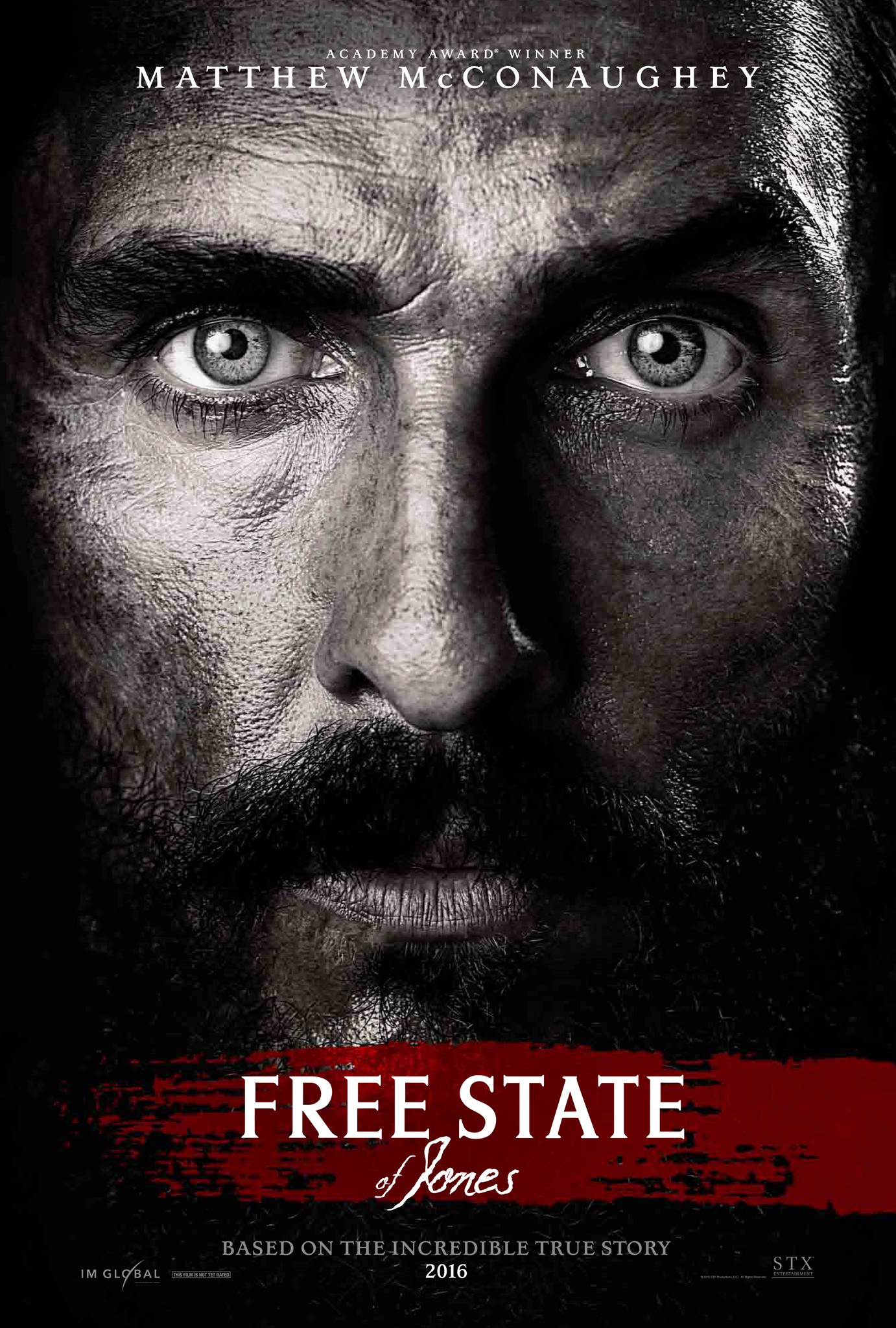 Mega Sized Movie Poster Image for Free State of Jones (#1 of 7)