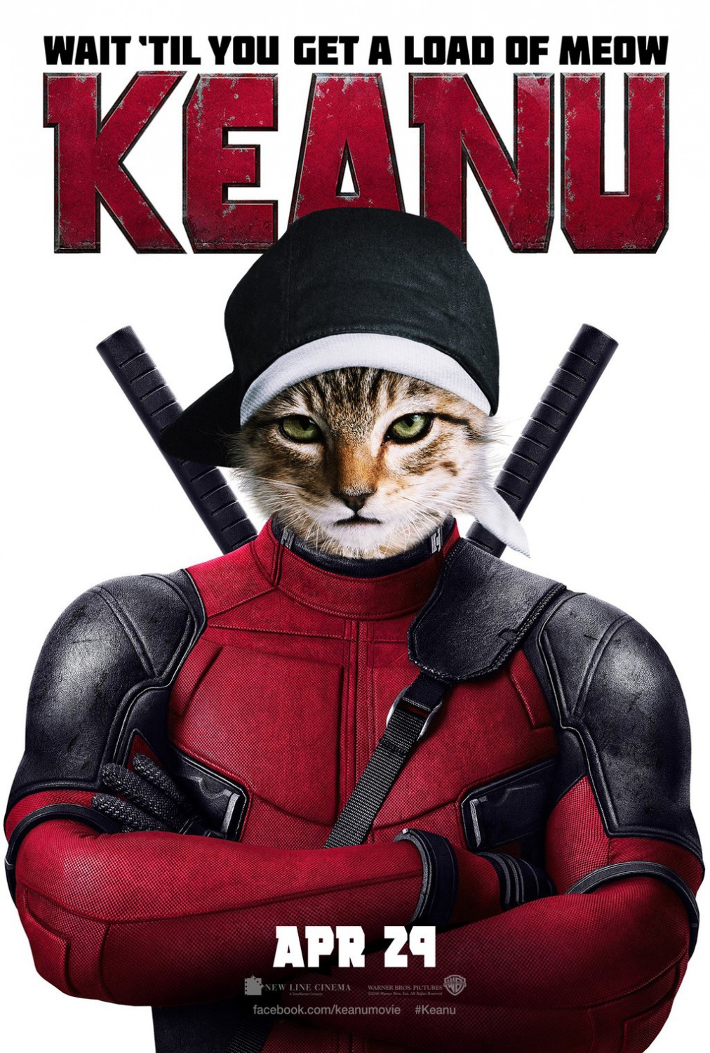 Extra Large Movie Poster Image for Keanu (#13 of 13)
