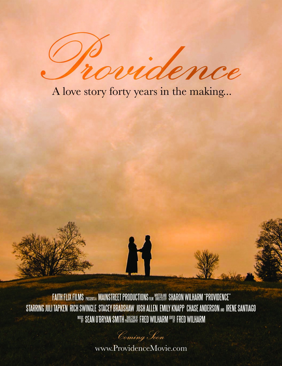 Extra Large Movie Poster Image for Providence 