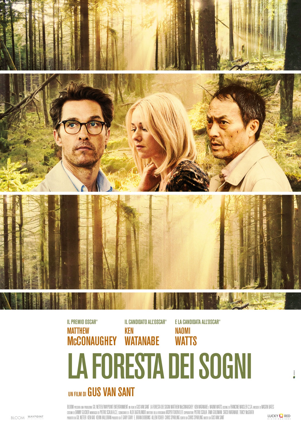 Extra Large Movie Poster Image for The Sea of Trees (#3 of 5)
