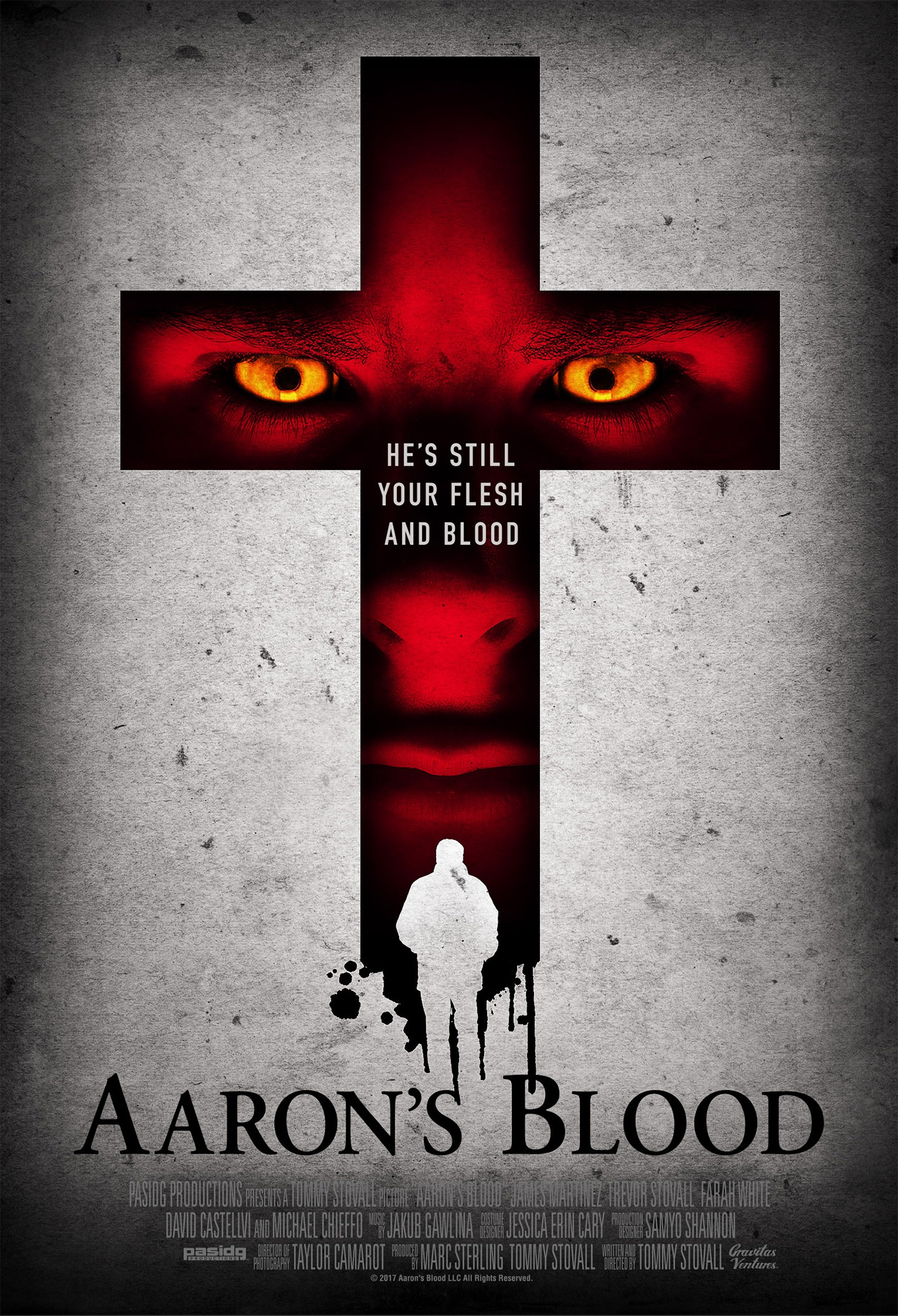 Mega Sized Movie Poster Image for Aaron's Blood (#2 of 2)
