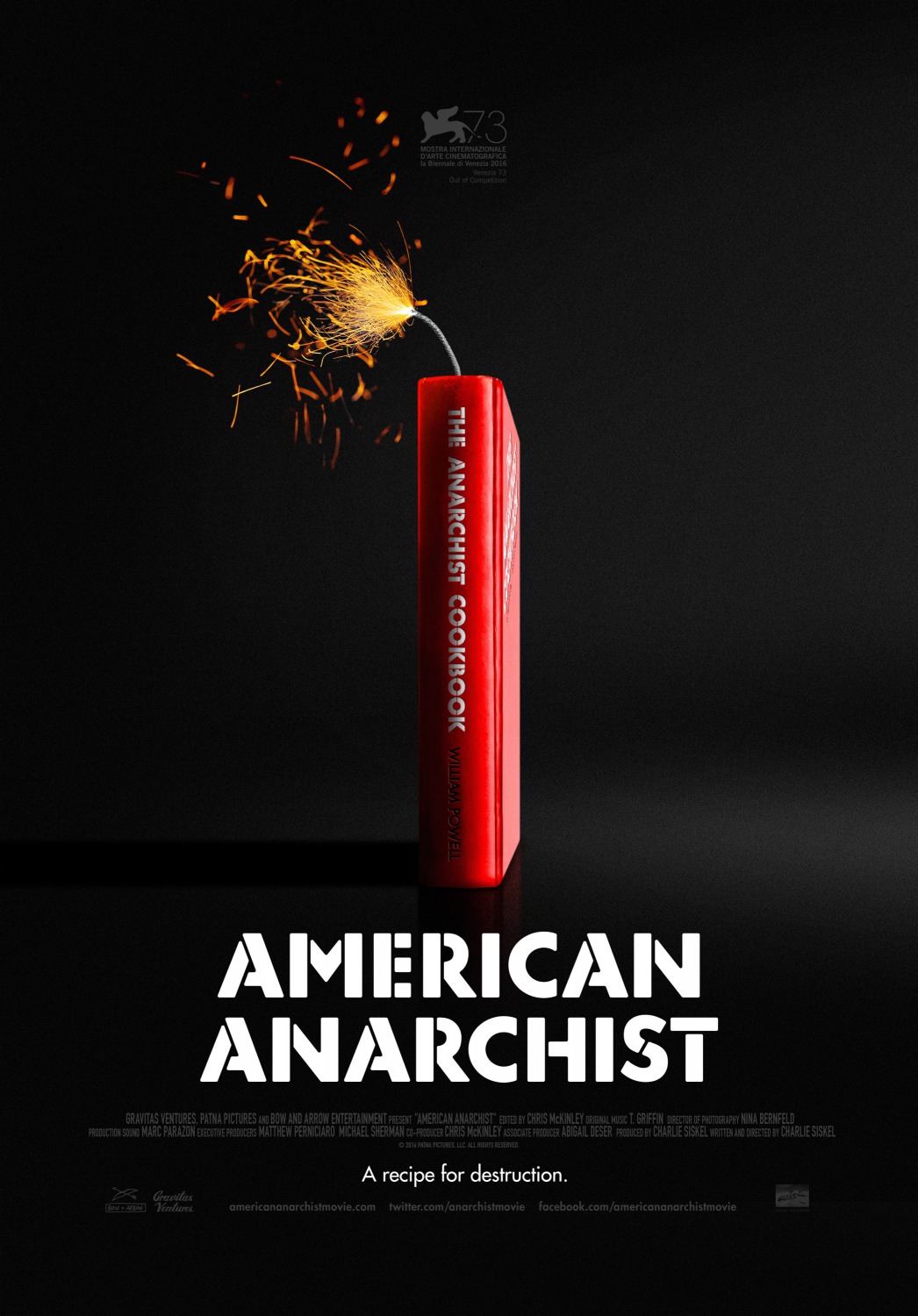 Extra Large Movie Poster Image for American Anarchist 