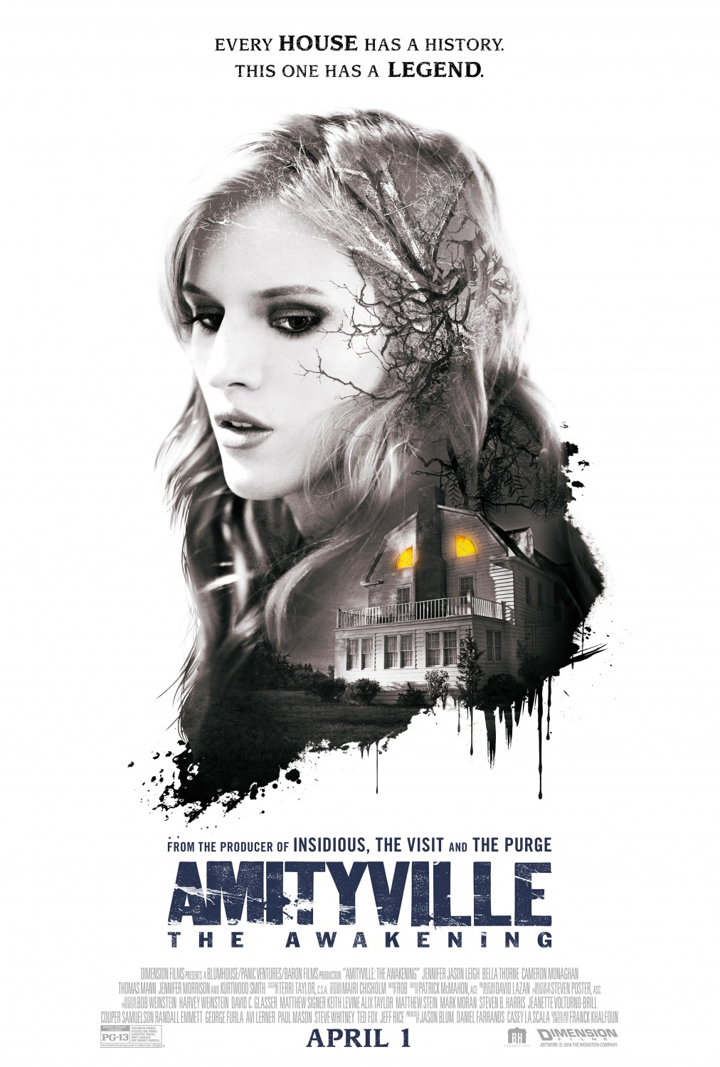 Extra Large Movie Poster Image for Amityville: The Awakening (#2 of 5)