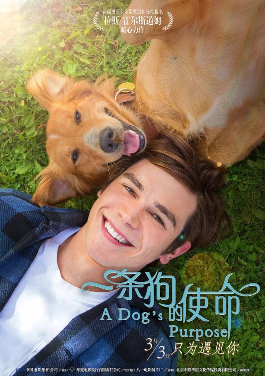 A Dog's Purpose Movie Poster