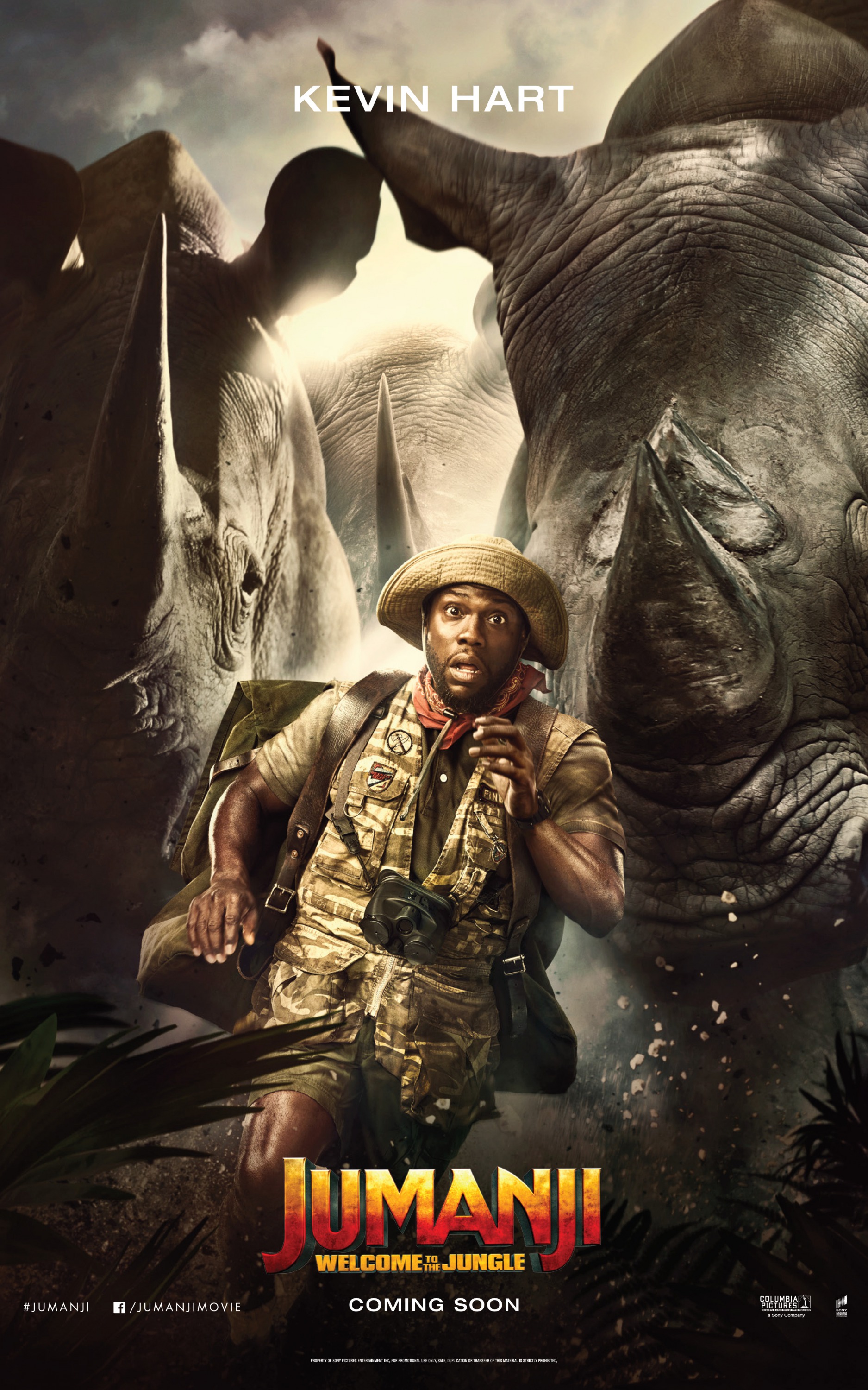 Mega Sized Movie Poster Image for Jumanji: Welcome to the Jungle (#10 of 22)