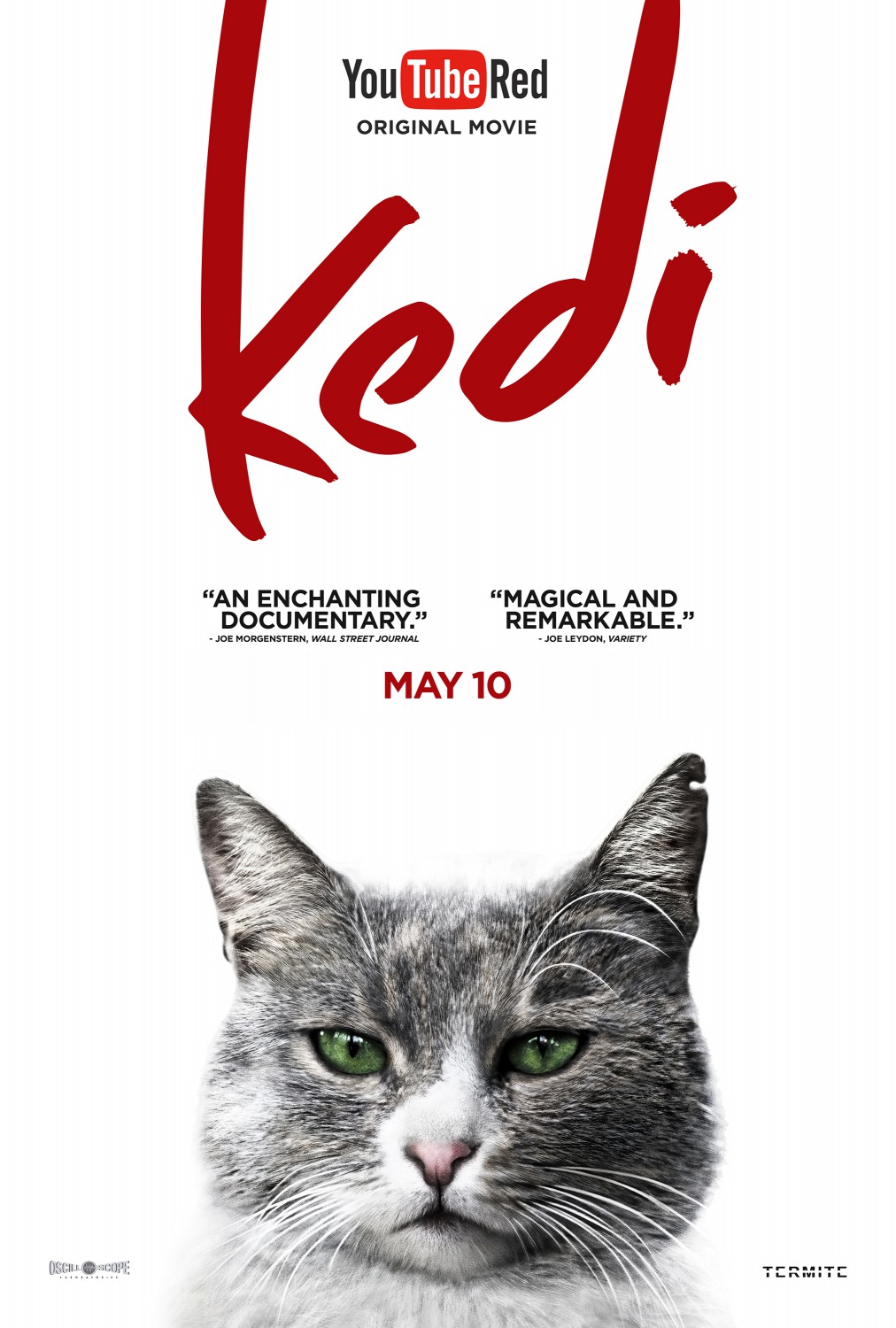 Extra Large Movie Poster Image for Kedi (#2 of 13)