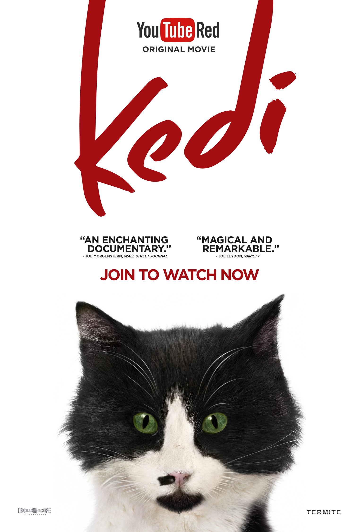 Mega Sized Movie Poster Image for Kedi (#3 of 13)