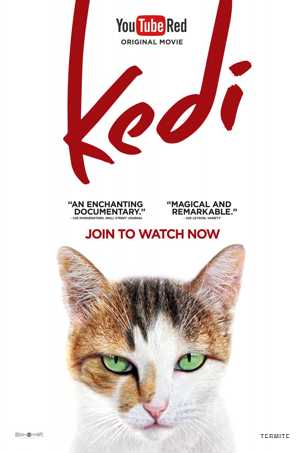 Extra Large Movie Poster Image for Kedi (#4 of 13)