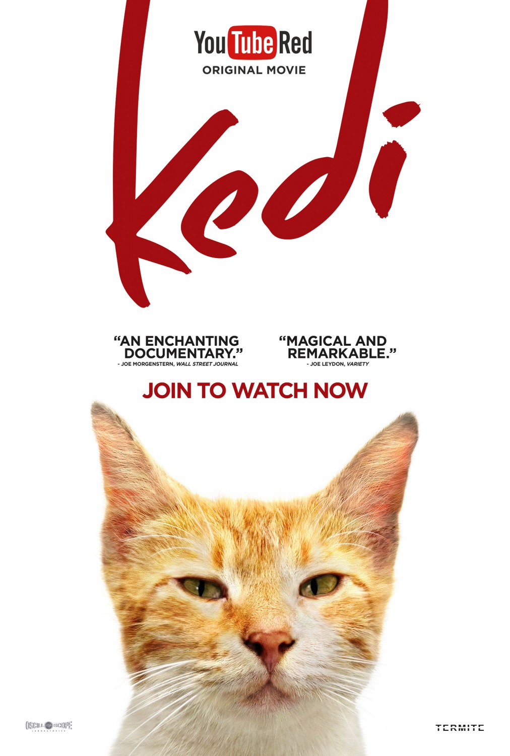 Extra Large Movie Poster Image for Kedi (#5 of 13)