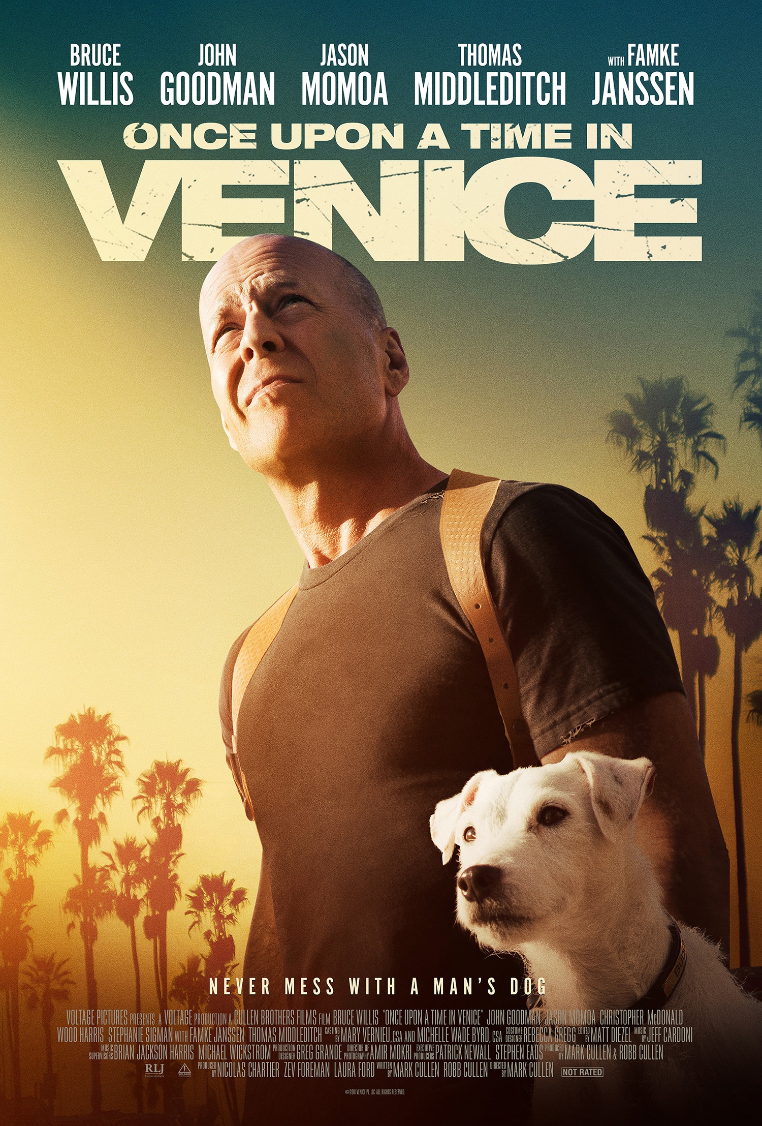 Mega Sized Movie Poster Image for Once Upon a Time in Venice (#1 of 4)