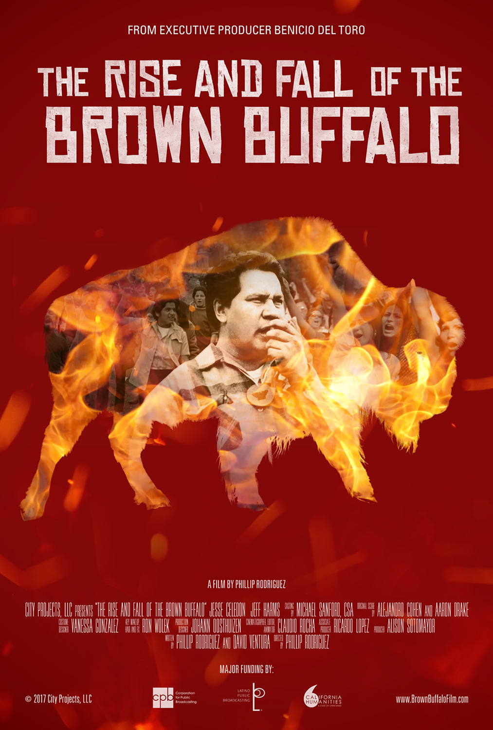 Extra Large Movie Poster Image for The Rise and Fall of the Brown Buffalo 