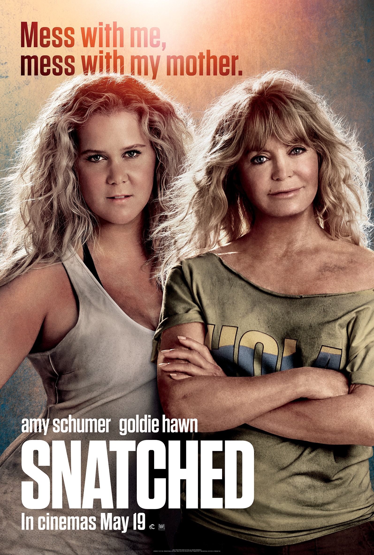 Mega Sized Movie Poster Image for Snatched (#2 of 3)