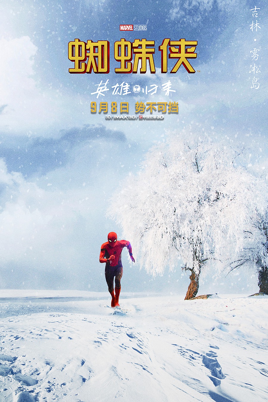 Extra Large Movie Poster Image for Spider-Man: Homecoming (#30 of 56)