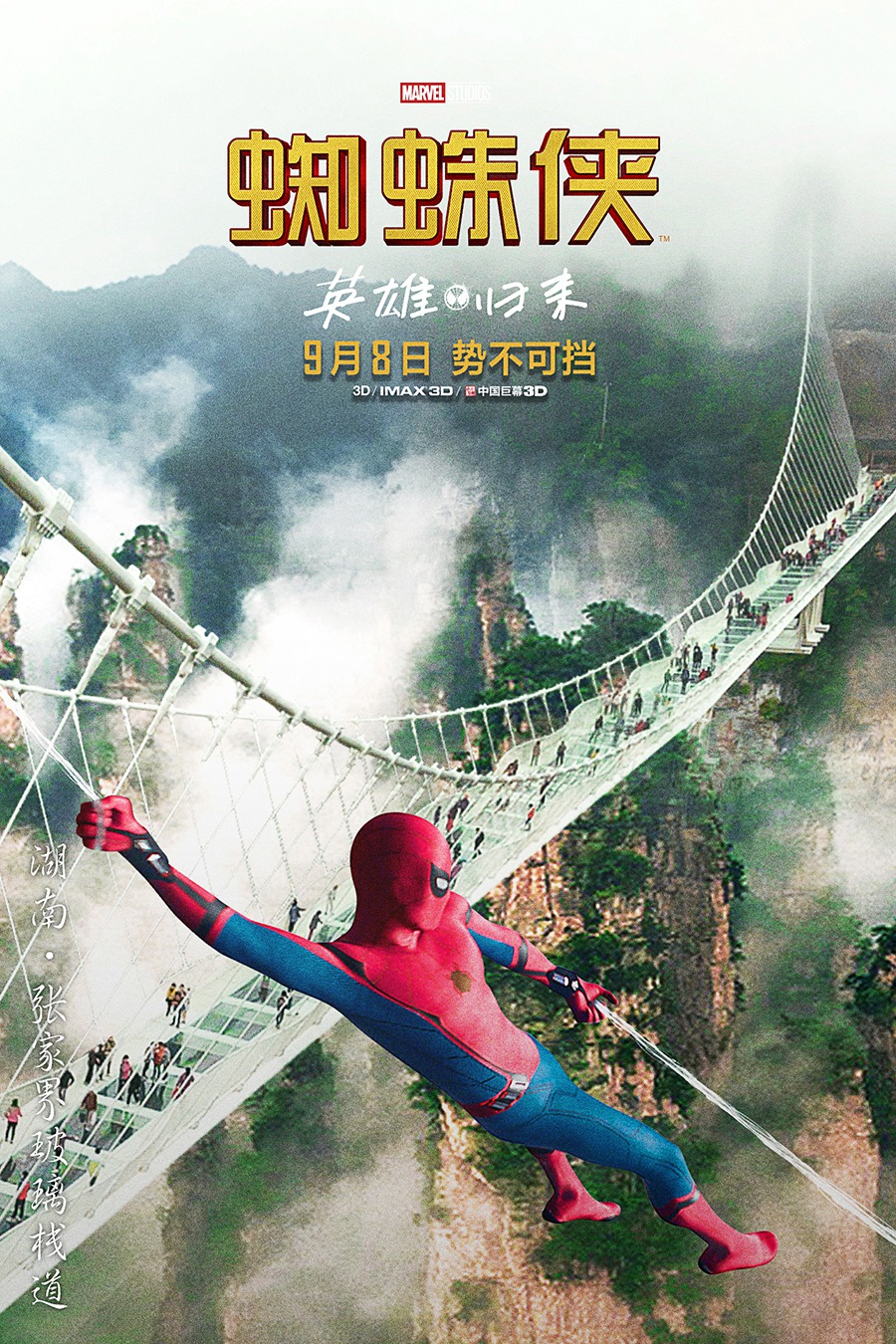 Extra Large Movie Poster Image for Spider-Man: Homecoming (#41 of 56)