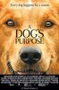 A Dog's Purpose (2017) Thumbnail