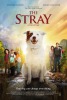 The Stray (2017) Thumbnail