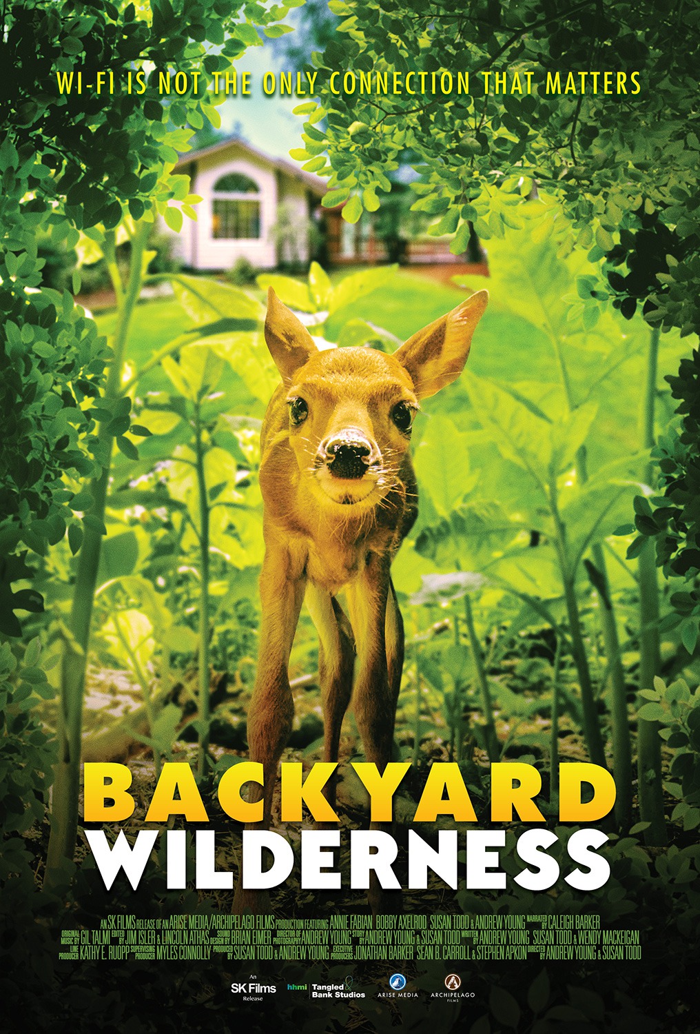 Extra Large Movie Poster Image for Backyard Wilderness 