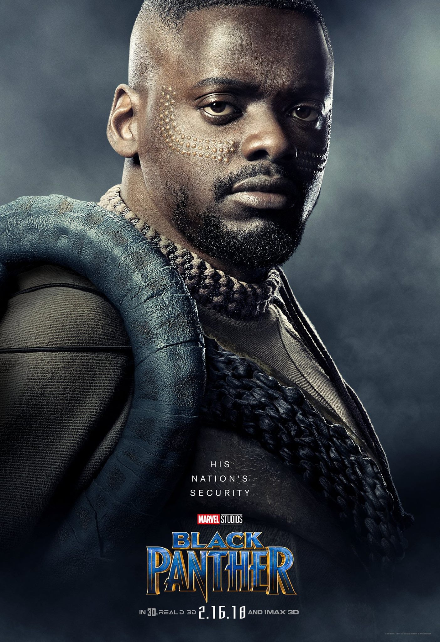 Mega Sized Movie Poster Image for Black Panther (#14 of 29)