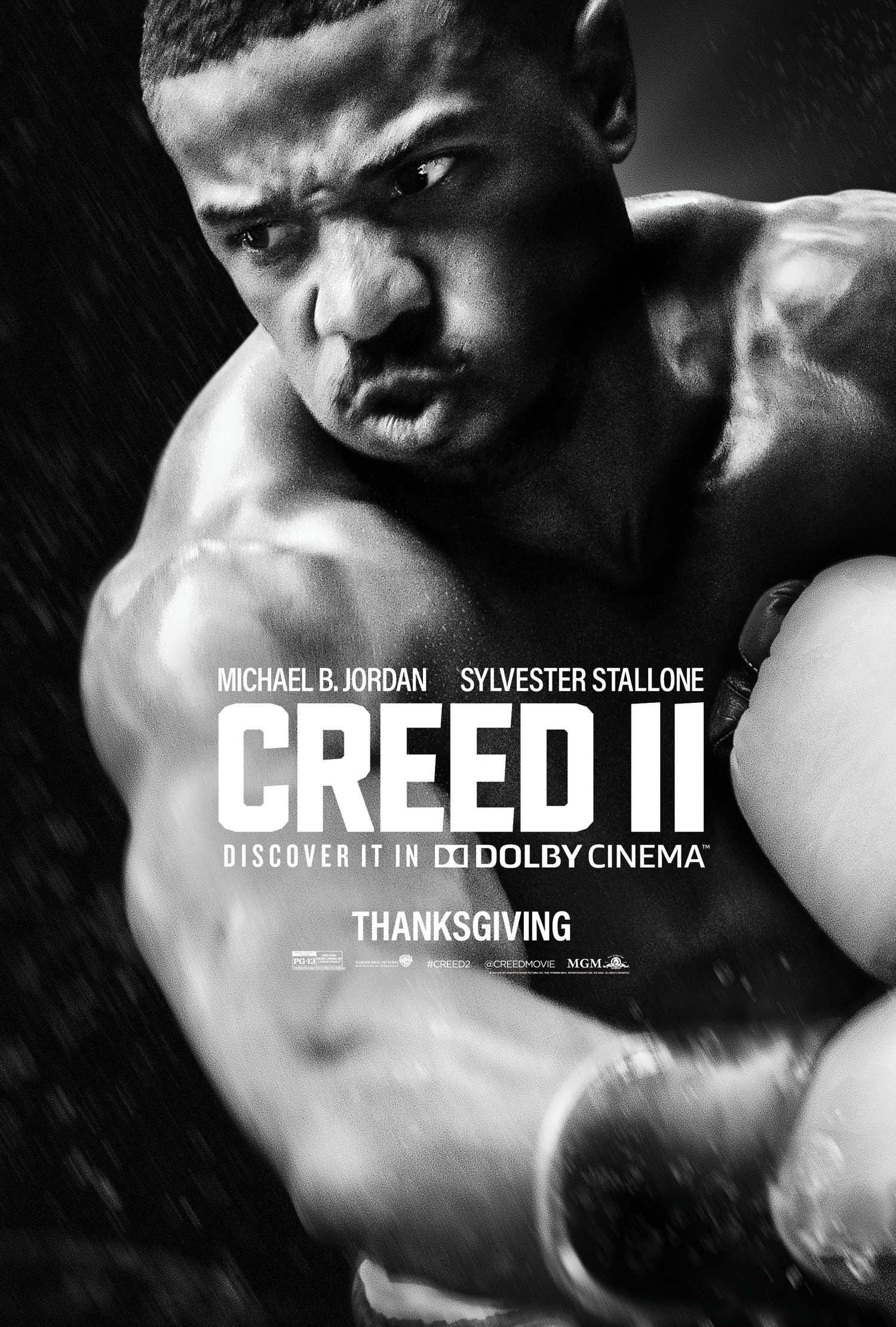Mega Sized Movie Poster Image for Creed II (#7 of 7)