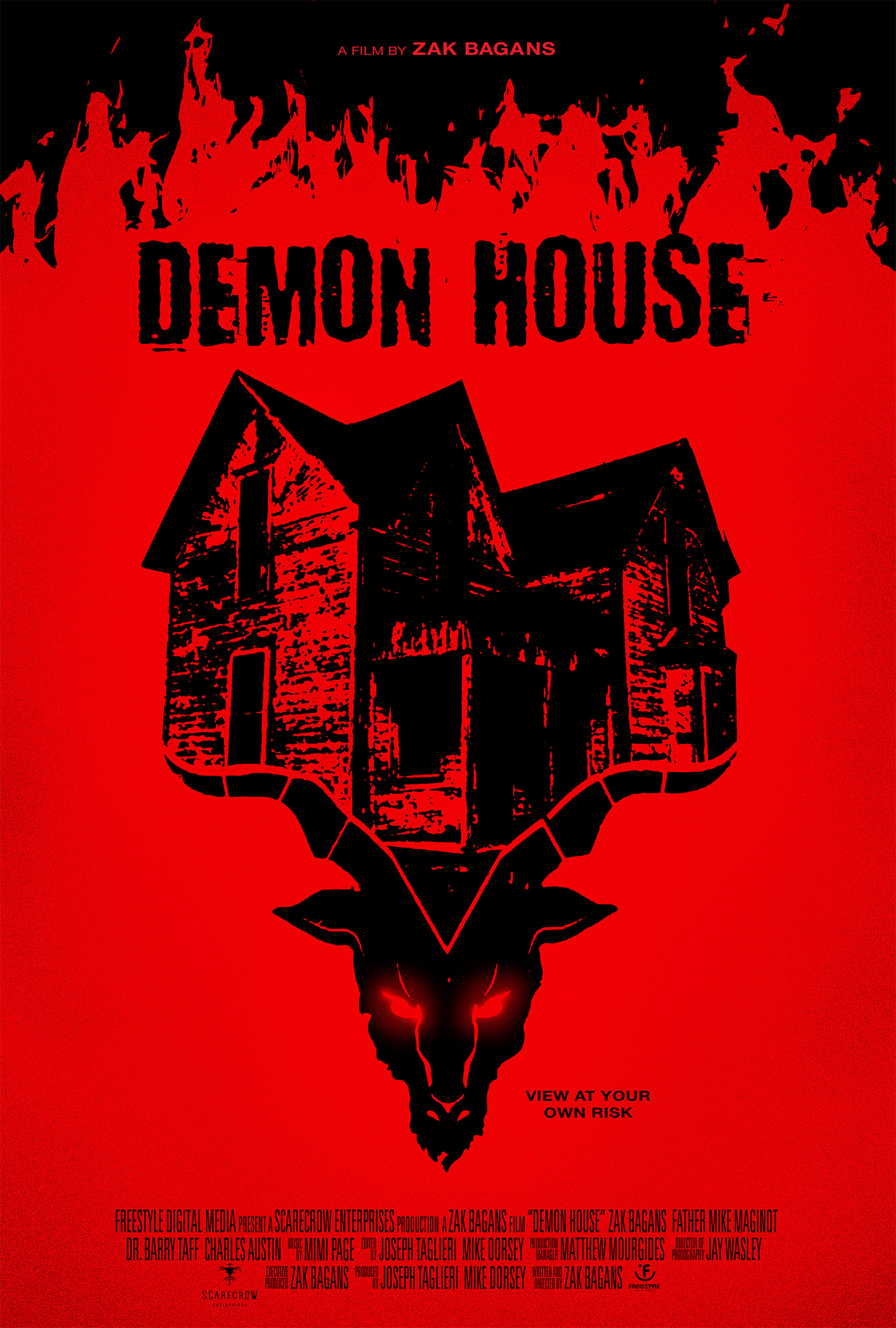 Mega Sized Movie Poster Image for Demon House 