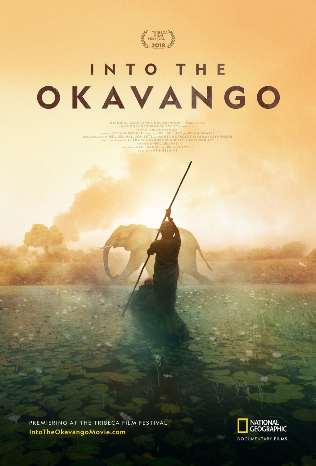 Extra Large Movie Poster Image for Into The Okavango 