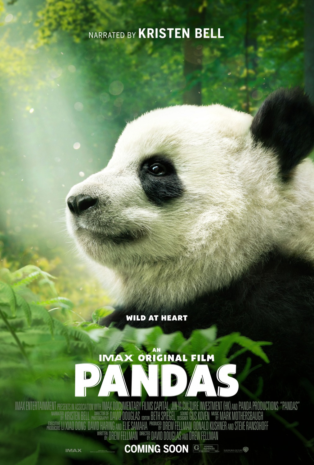 Extra Large Movie Poster Image for Pandas (#2 of 2)