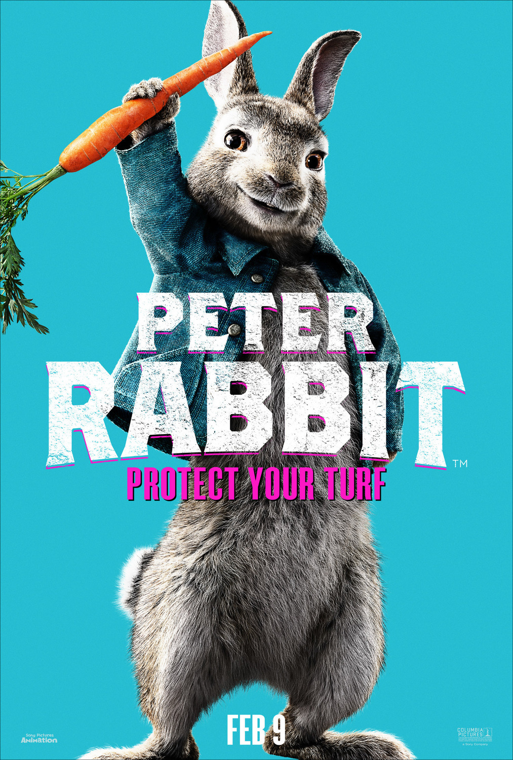 Extra Large Movie Poster Image for Peter Rabbit (#26 of 27)