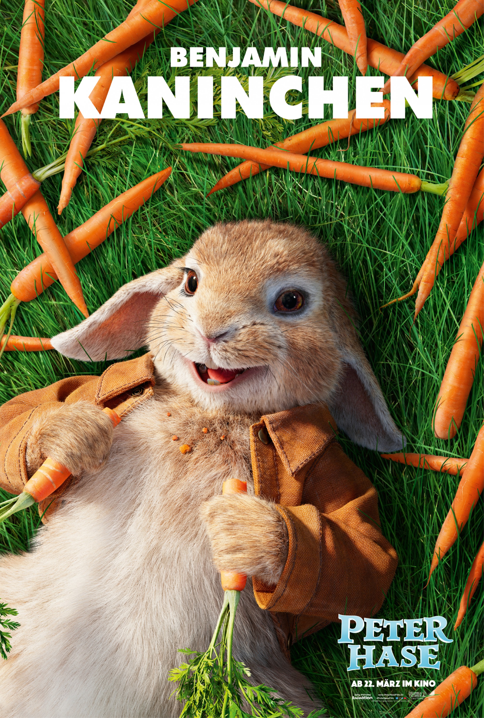 Mega Sized Movie Poster Image for Peter Rabbit (#8 of 27)