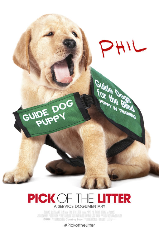 Pick of the Litter Movie Poster