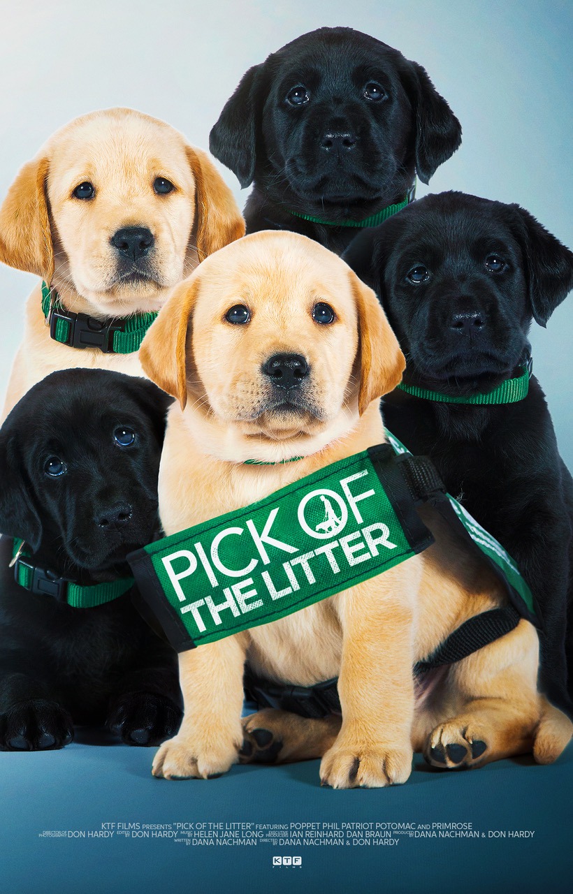 Extra Large Movie Poster Image for Pick of the Litter (#1 of 7)