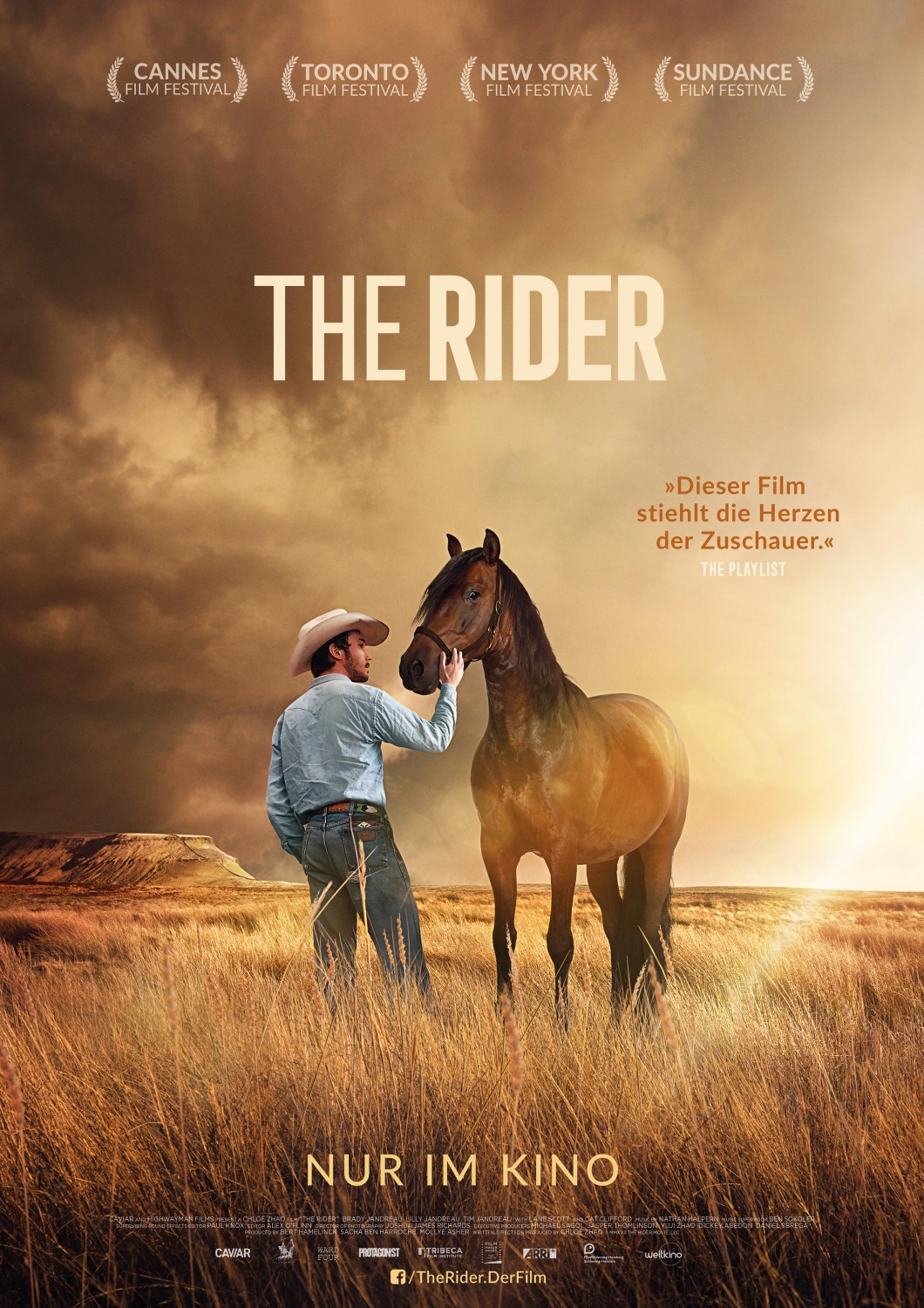 Extra Large Movie Poster Image for The Rider (#3 of 5)