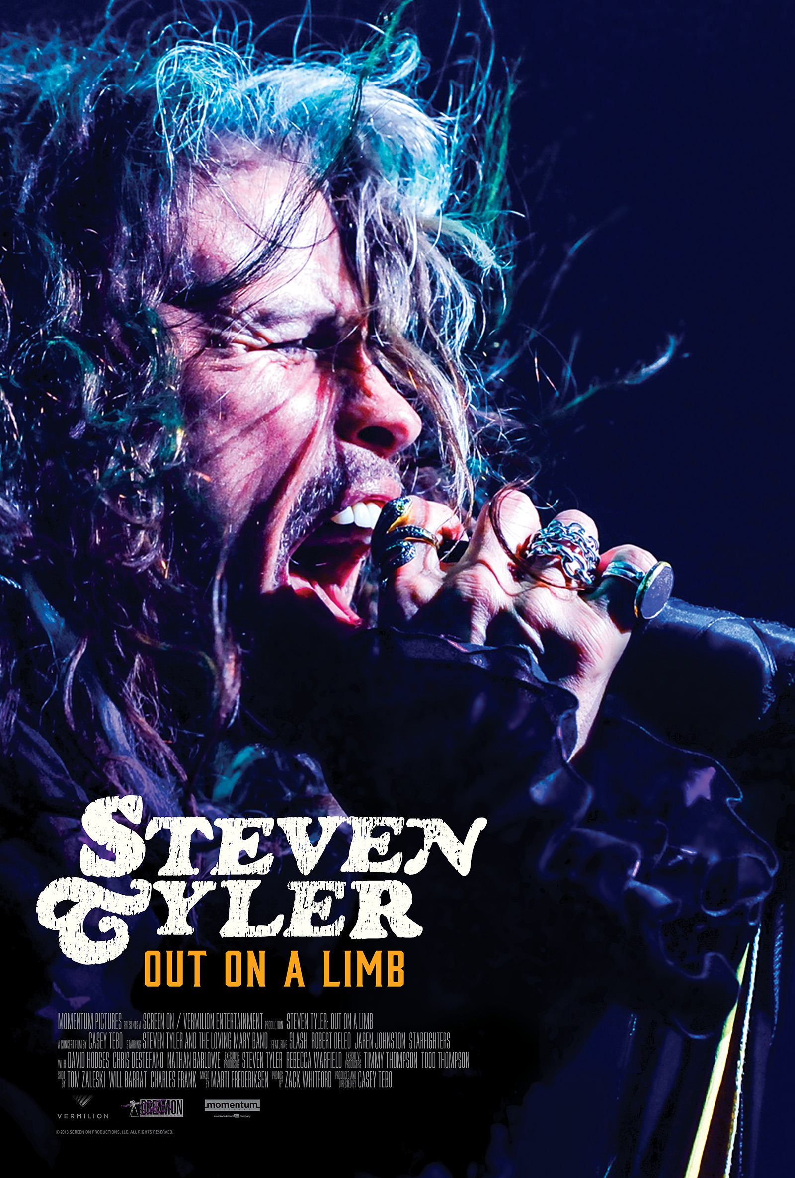 Mega Sized Movie Poster Image for Steven Tyler: Out on a Limb 