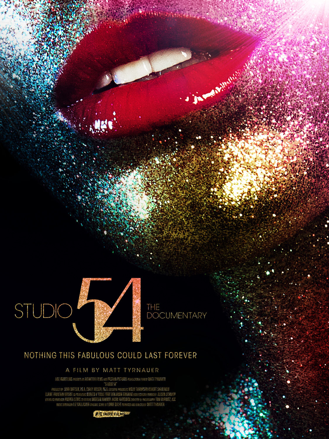 Extra Large Movie Poster Image for Studio 54 