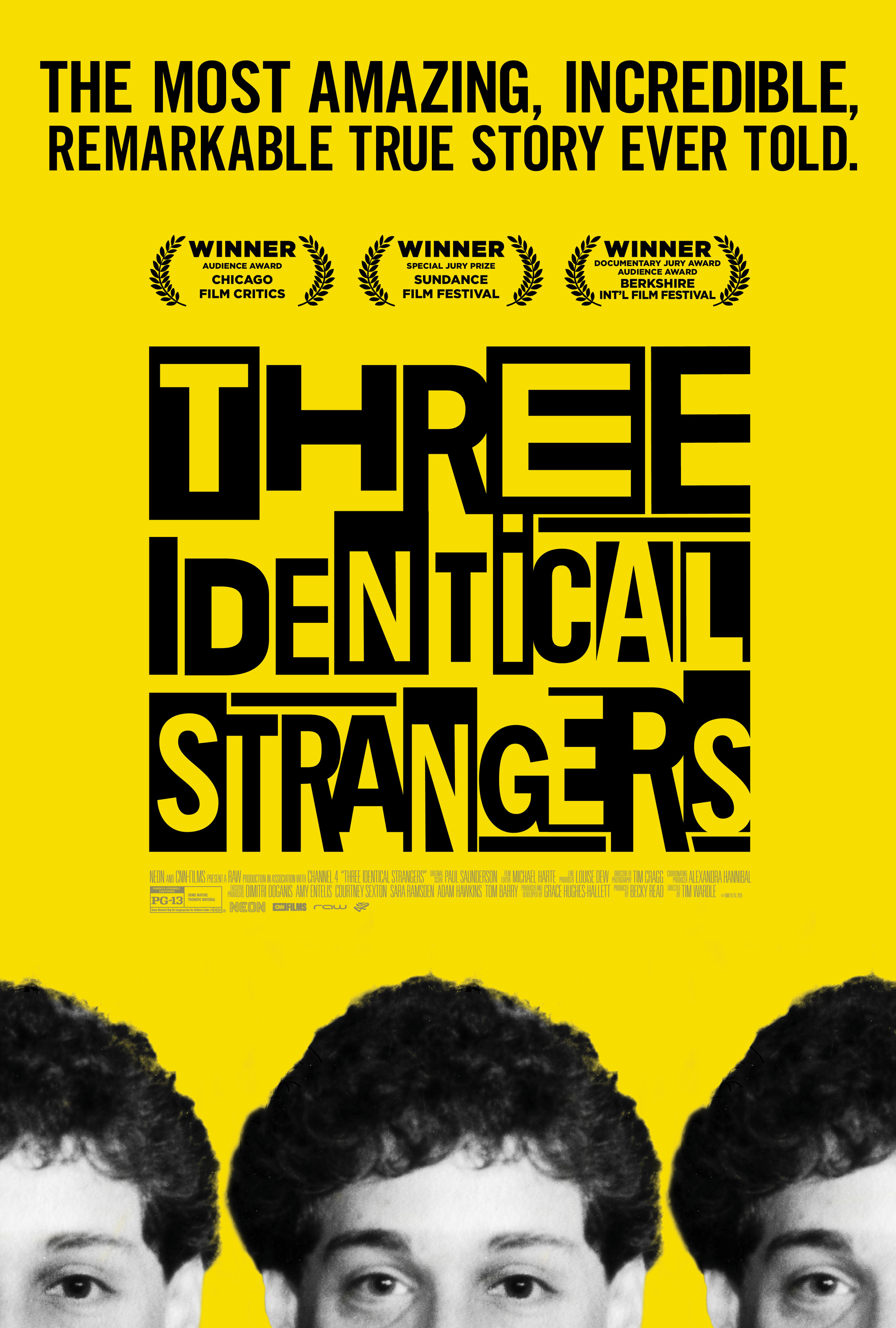Mega Sized Movie Poster Image for Three Identical Strangers (#2 of 2)