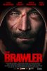The Brawler (2018) Thumbnail