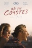 We the Coyotes (2018) Thumbnail