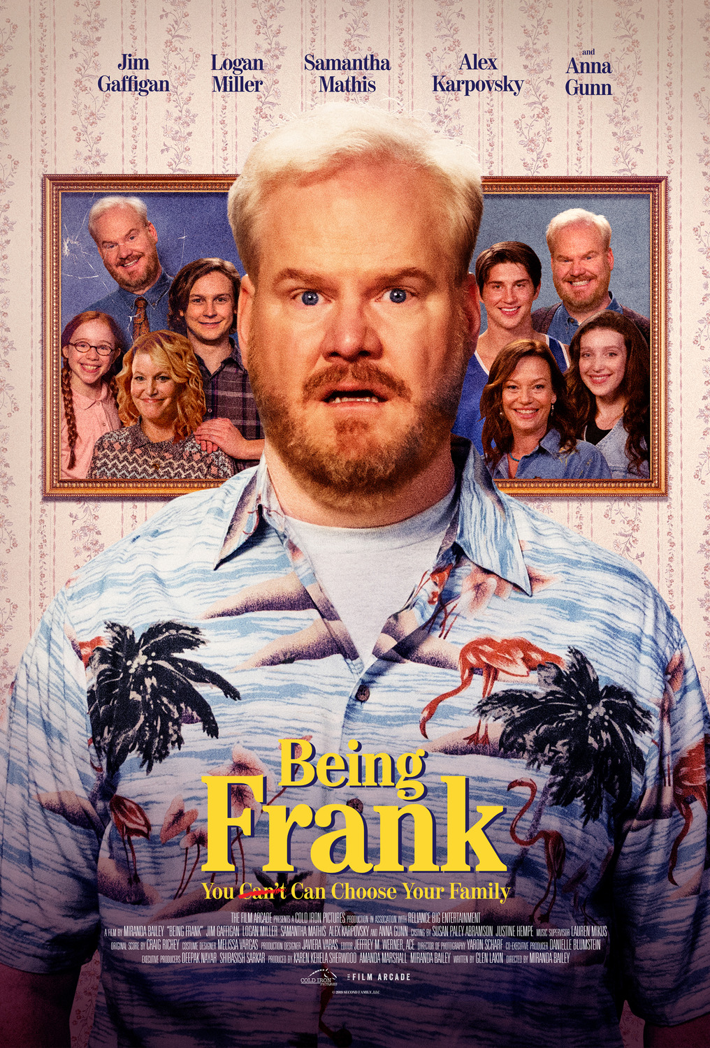 Extra Large Movie Poster Image for Being Frank 