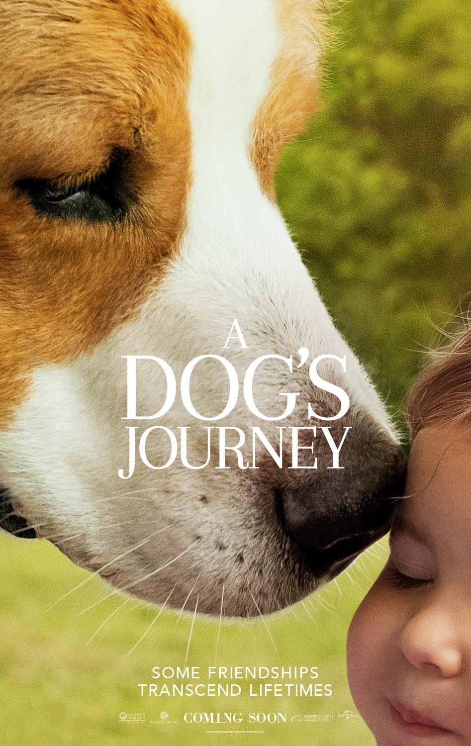 Extra Large Movie Poster Image for A Dog's Journey (#8 of 11)